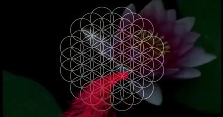 Flor da Vida
